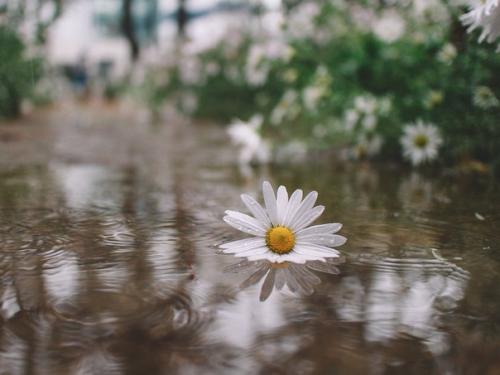 Чуешь, какой воздух? 04