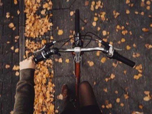 Август - прелюдия к осени, уже начинаешь понемногу чувствовать дуновение осенней меланхолии. 01