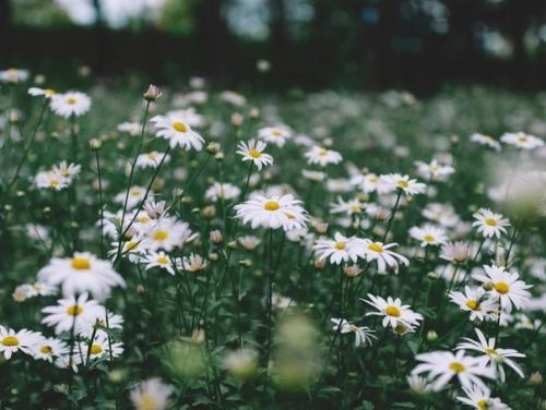 Чуешь, какой воздух? 06