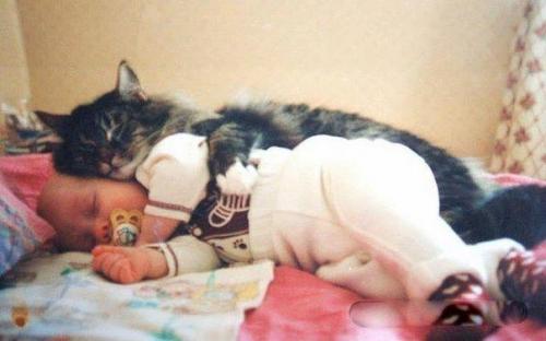 7 интересных домашних женских хитростей. 02 7 интересных домашних женских хитростей. 02