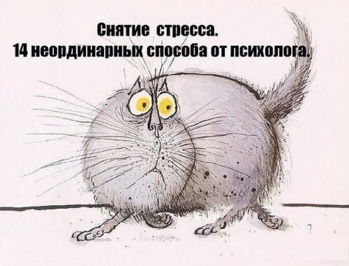 Способы снятия стресса. Способы снятия стресса.