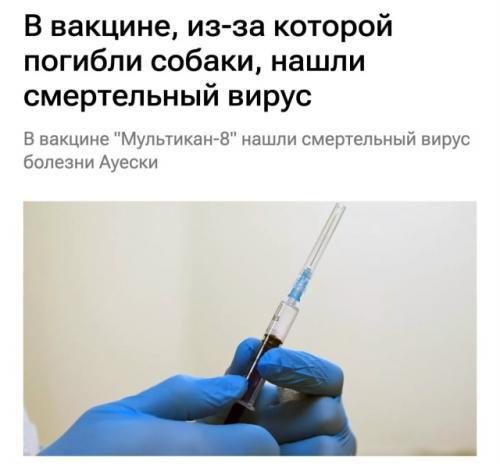 Экспертиза выявила опасный патоген в популярном средстве для вакцинации животных мультикан-8. 01