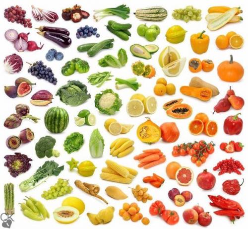 Продукты с нулевой калорийностью. Продукты с нулевой калорийностью.