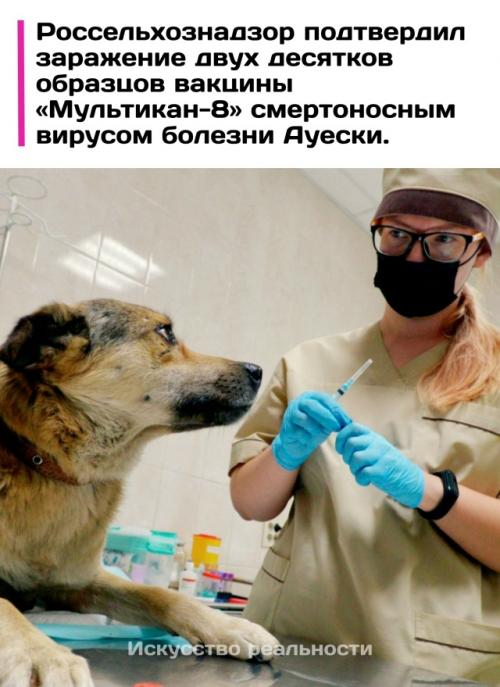 Экспертиза выявила опасный патоген в популярном средстве для вакцинации животных 