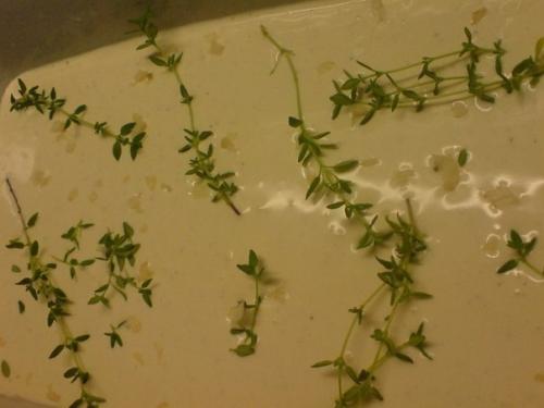 Рулетики из куриной грудки в сырном соусе? 02