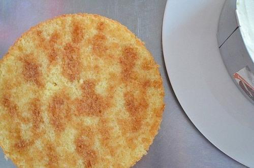 Торт Тирамису.  Ингредиенты: 05