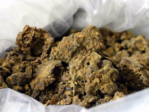 Лимфа. Сначала я вам расскажу, что такое лимфа и какие болезни развиваются при грязной лимфе.