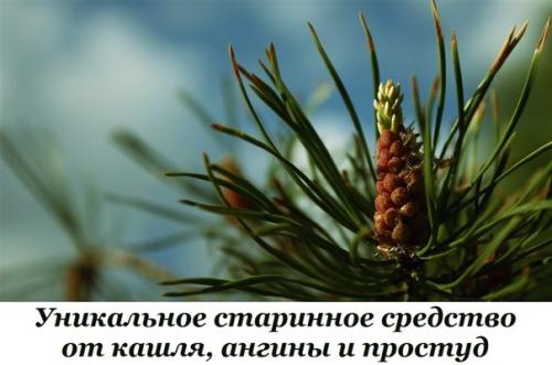 Уникальное старинное средство от кашля, ангины и простуд. Уникальное старинное средство от кашля, ангины и простуд.