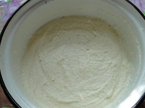 Манник лимонный.  Вы не любите кошек? 02