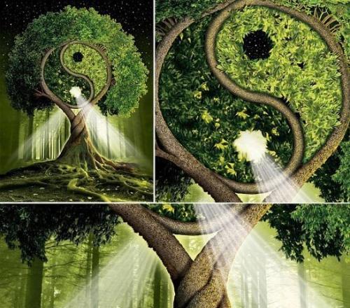 Советы восточной медицины.

