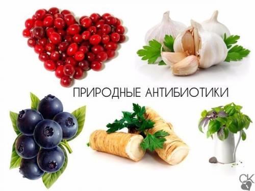 Природные антибиотики.  ? 1. Природные антибиотики.  ? 1.