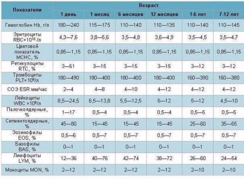 Клинический анализ крови у ребенка. Клинический анализ крови у ребенка.