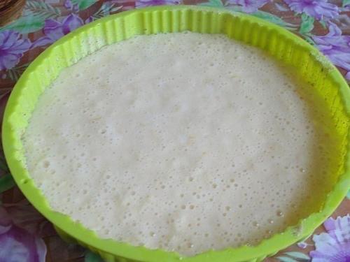 Манник лимонный.  Вы не любите кошек? 05