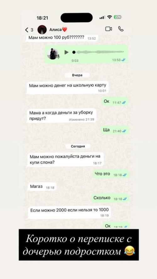 Мы берем пример с переписки аланы мамаевой с дочерью - подростком. 02