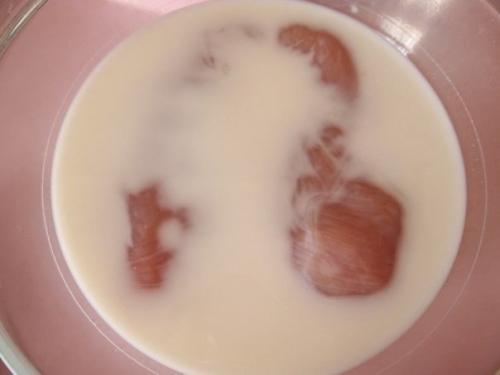 Куриная пастрома. Ингредиенты: 02 Куриная пастрома. Ингредиенты: 02