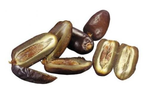 В мусульманском мире, финики с древних времён считаются практически святой пищей.