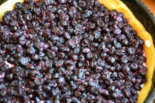 Пирог с творогом и черникой. 04