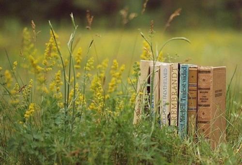 Книги, которые стоит прочитать каждой женщине. Книги, которые стоит прочитать каждой женщине.