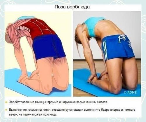 Такие занятия делают связки и суставы более эластичными, позволяя человеку выполнять движения по полной амплитуде. 05