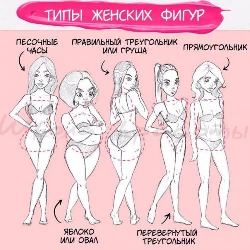 Типы женских фигур и правильный выбор гардероба. Типы женских фигур и правильный выбор гардероба.