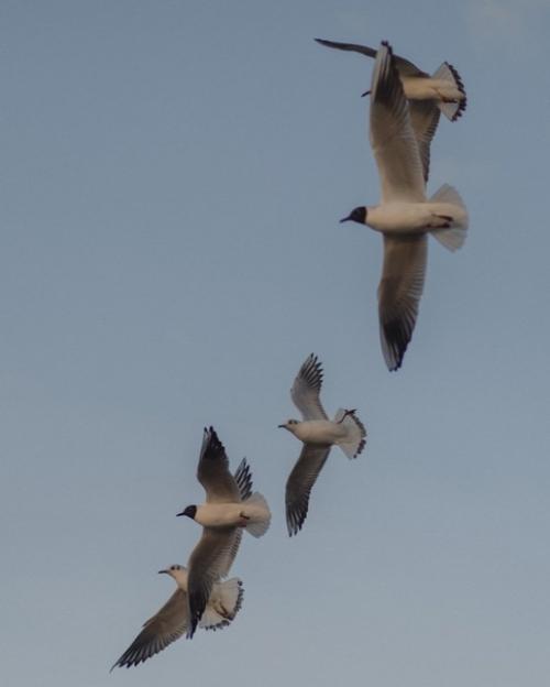 - ты меня не любишь! 02