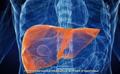 Помогаем печени утром, днем и вечером! 01 Помогаем печени утром, днем и вечером! 01