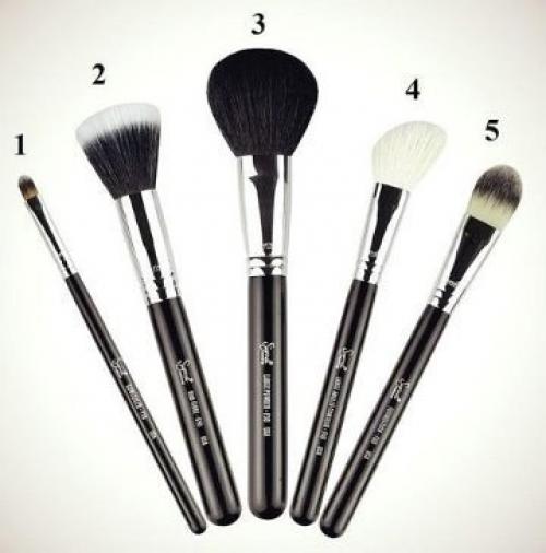 Необходимые кисти для лица: 

