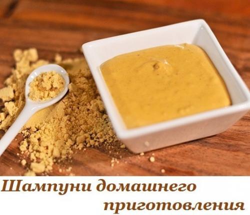 Шампуни домашнего приготовления.

