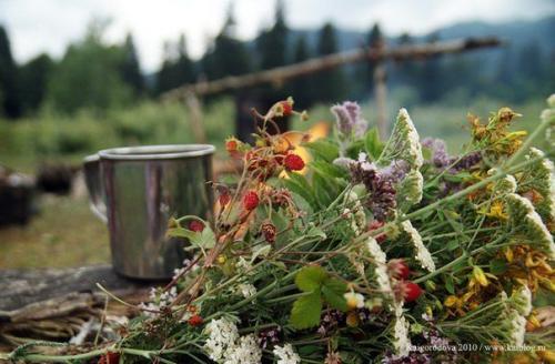 7 полезных травяных чаев: 7 полезных травяных чаев: