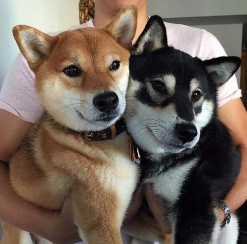 9 секретов обаятельных людей.