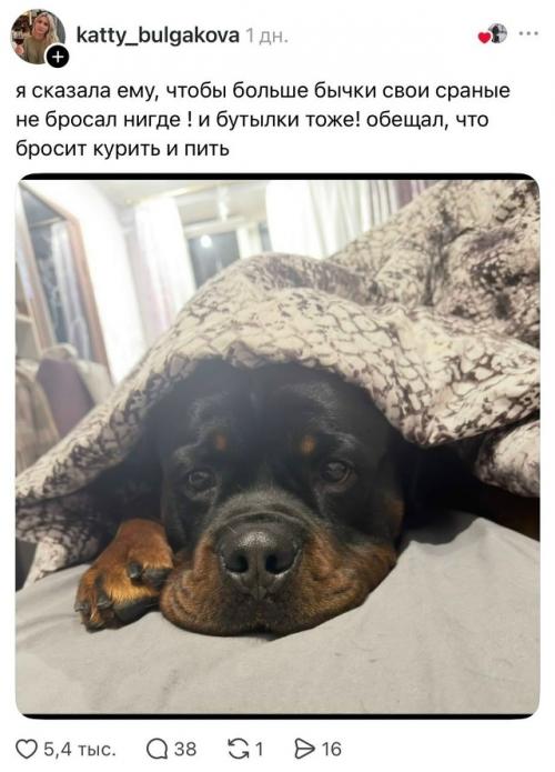 Пост с жалобой на мусор возле дома, в котором автор обвинил во всём Собачников, неожиданно вышел из-под контроля. 01