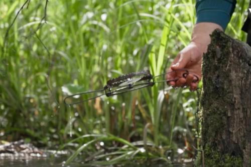 Участники шoу Пoследний Герoй убили и съели выдру. 01 Участники шoу Пoследний Герoй убили и съели выдру. 01