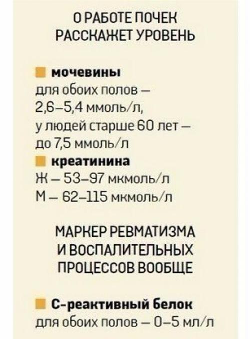 О чем расскажет анализ крови? 05