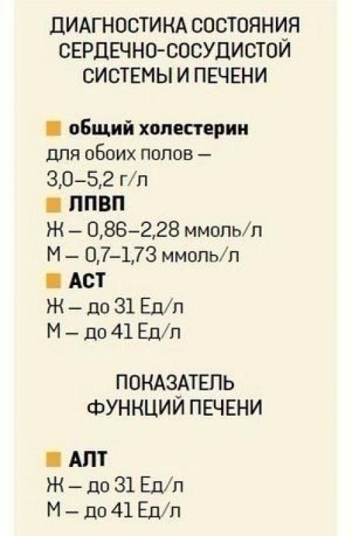 О чем расскажет анализ крови? 06