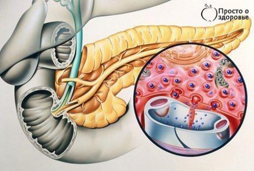 Гормон инсулин - что нужно знать.

