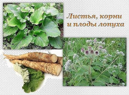 Старинные рецепты для женского здоровья. Старинные рецепты для женского здоровья.