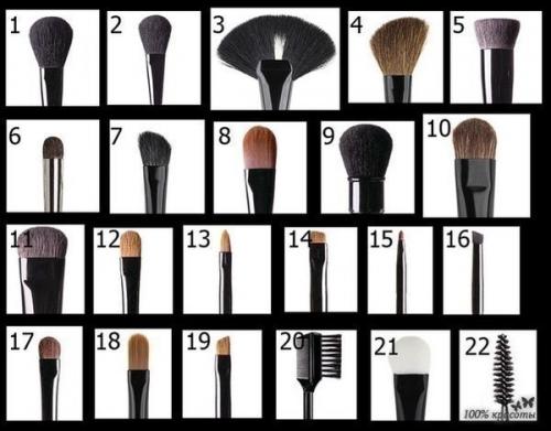 Описание кистей для макияжа.