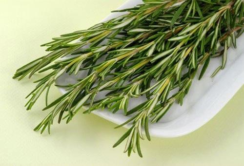 5 продуктов улучшающих память. 03 5 продуктов улучшающих память. 03