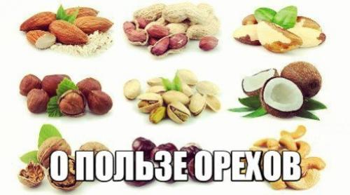 О пользе орехов.