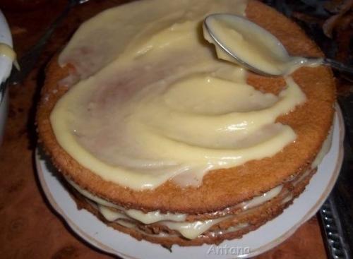 Медовик с заварным кремом - нежный, пропитанный, большой. 01 Медовик с заварным кремом - нежный, пропитанный, большой. 01