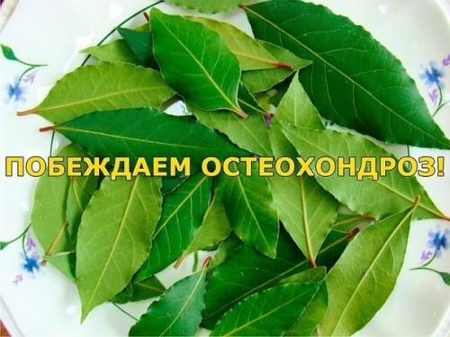 Мы побеждаем остеохондроз! Мы побеждаем остеохондроз!