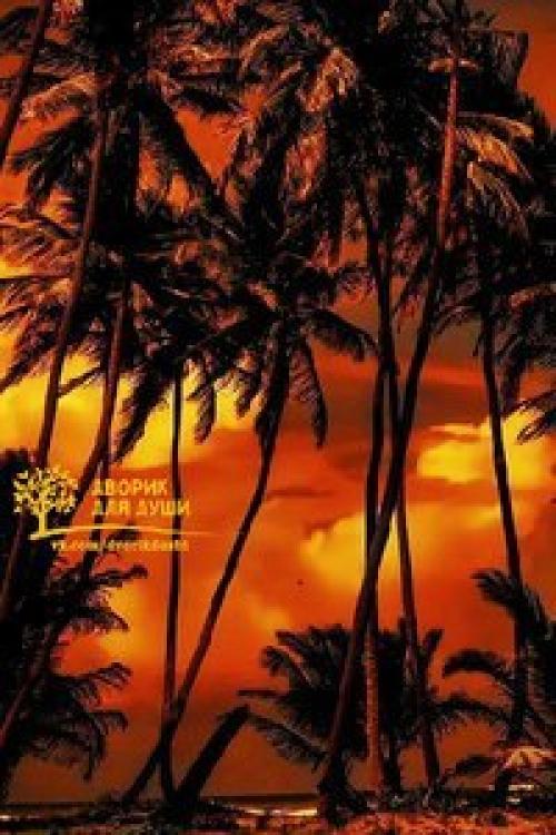 Жизнь - это как струна гитары. 03