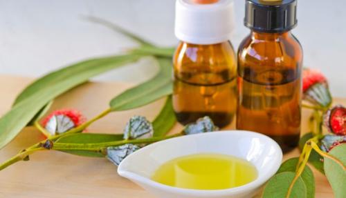 Лучшие рецепты с маслом эвкалипта. Лучшие рецепты с маслом эвкалипта.