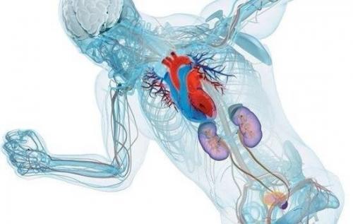 Топ кардио тренировок!