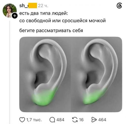 В соцсетях завирусилась новая шуточная типология человечества: пользователей принялись строго делить по анатомическим особенностям.  