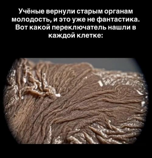 Клеткам скинули 30 лет.  
