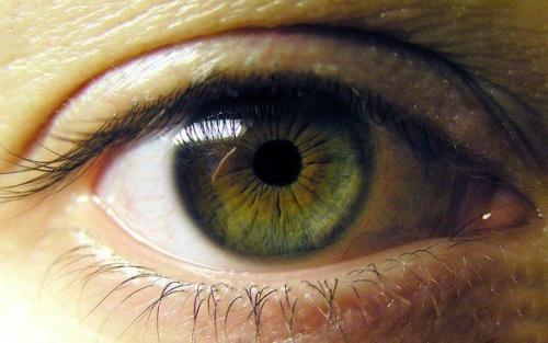 Методика улучшения зрения.

