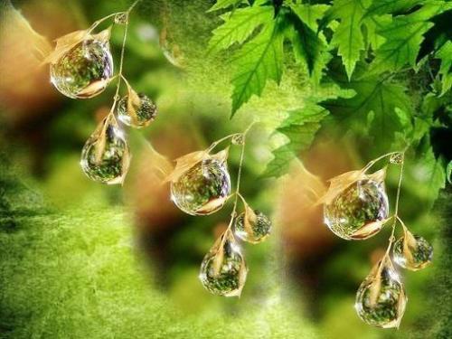 Натуральные освежители воздуха для дома - 12 идей.