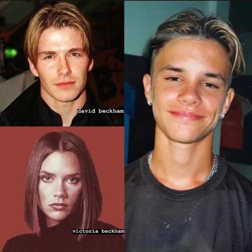 От осинки не родятся апельсинки. 04