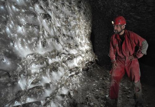 Это уже какой-то паучий ад! 

